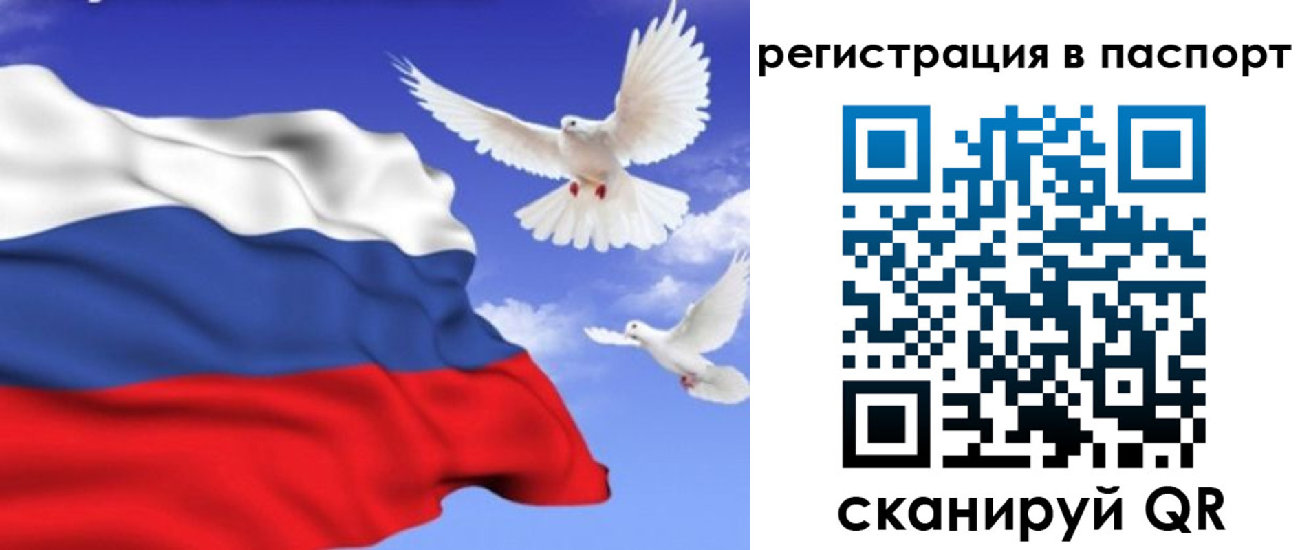 купить прописку в Родниках
